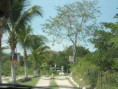 /album/fotogaleria%3a-%c2%bfquienes-somos-1/dsc01963-jpg/